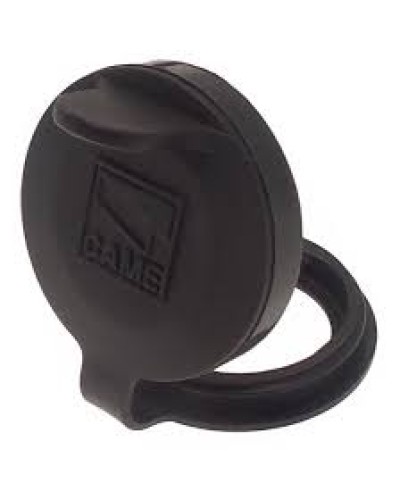 Защита целиндра замка A4366 Came 119RIA051 в Северске Запчасти для шлагбаумов и автоматики Pintop.ru