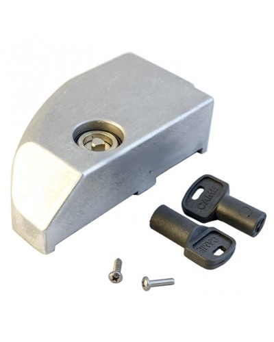 Дверца замка разблокировки BK Came 119RIBK012 в Северске Запчасти для шлагбаумов и автоматики Pintop.ru