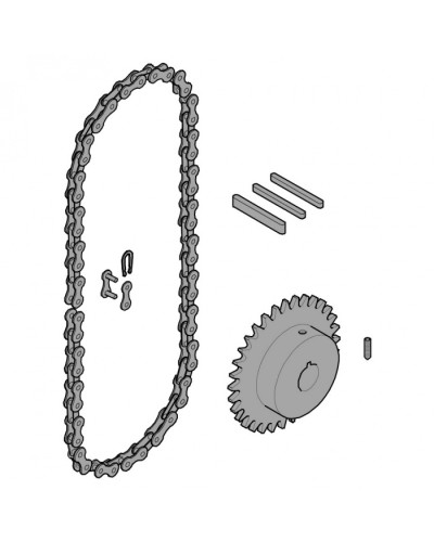 Передающая система (цепь и звездочки) C005 Came 119RICX016 в Северске Запчасти для шлагбаумов и автоматики Pintop.ru