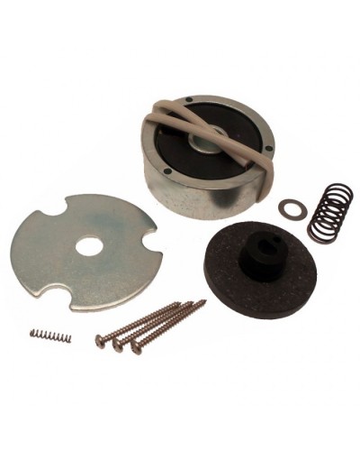 Электромагнит AMICO в сборе Came 119RID274 в Северске Запчасти для шлагбаумов и автоматики Pintop.ru