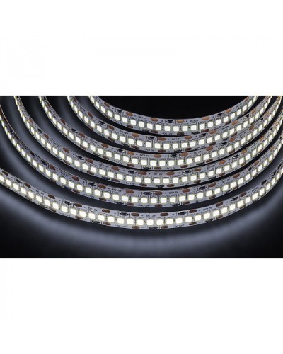Лента светодиодная Navigator 14 459 NLS-2835CW240-24-IP20-12V в Северске Источники света(Лампы) Pintop.ru