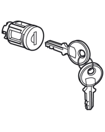 Цилиндр встроенный под ключ №405 Legrand 020291 в Северске Дополнительное оборудование для сетей Pintop.ru