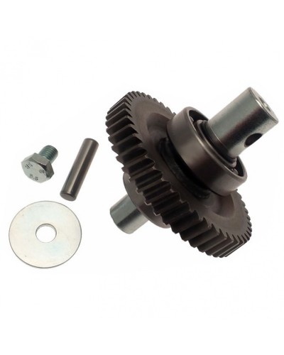 Шестерня редуктора FAST в сборе Came 119RID229 в Северске Запчасти для шлагбаумов и автоматики Pintop.ru