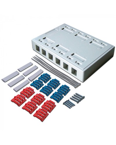 Коробка настенная на 12 кейстоунов, белая LANMASTER (LAN-MB-12K-WH) в Северске Распределительные коробки Pintop.ru