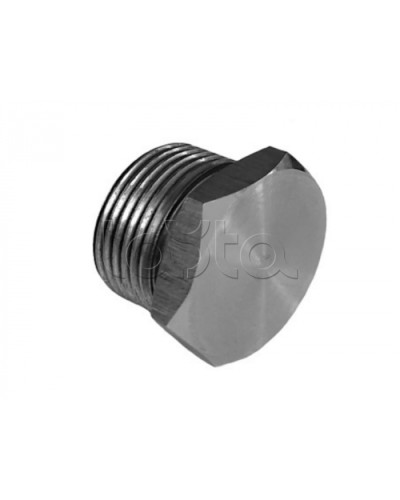 Металлическая резьбовая заглушка взрывозащищённая Магнито-контакт Ех-заглушка ВЗ 01 М Н (под Ø 16) 1Ex d IIС Gb/PB Ex d I Mb или Ex tb IIIС Db или 0Ex ia IIC Ga или 1Ex e IIС Gb в Северске Дополнительное оборудование (Ex) Pintop.ru