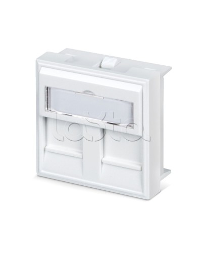 Вставка 45x45 (аналог Mosaic) для 2 модулей формата Keystone Jack Cabeus FP-45-2M в Северске Модули Keystone Pintop.ru