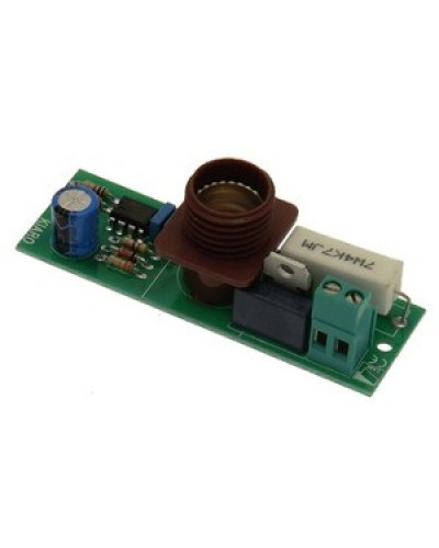 Плата лампы KIARO 24 Came 119RIR030 в Северске Запчасти для шлагбаумов и автоматики Pintop.ru