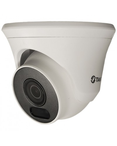 Видеокамера в купольном исполнении уличная Tantos TSc-Ee2FN в Северске Системы видеонаблюдения Pintop.ru
