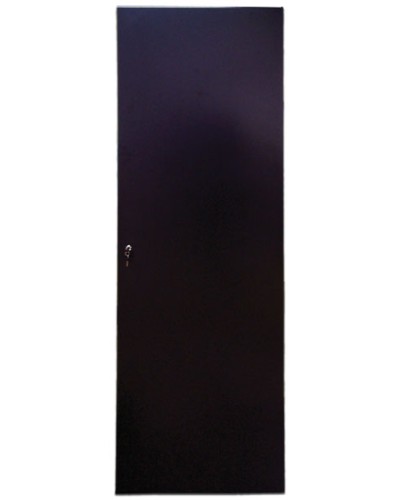 Дверь задняя для шкафов серии Business металл, 42U, ширина 800 мм TWT TWT-CBB-DRM1-42U-8 в Северске Аксессуары для стоек и шкафов Pintop.ru