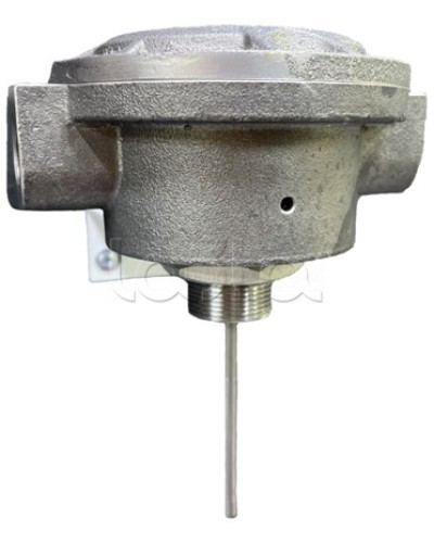 Взрывозащищенный пожарный извещатель Спектрон-101-Р-Exd-Н-Modbus в Северске Пожарные извещатели (Ex) Pintop.ru