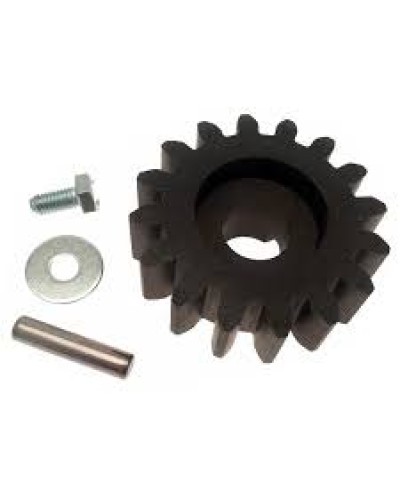 Шестерня для цепной передачи Came 119RIBK036 в Северске Запчасти для шлагбаумов и автоматики Pintop.ru