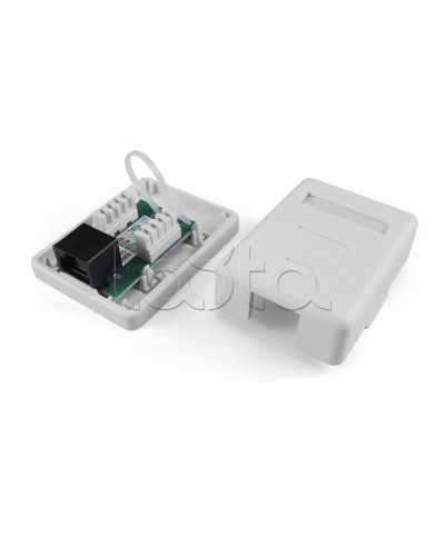 Розетка компьютерная RJ-45(8P8C) Hyperline SB1-2-8P8C-C6-SH-WH в Северске Розетки компьютерные и телефонные Pintop.ru