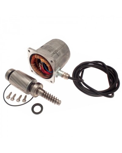 Электродвигатель FROG-A в сборе Came 119RIA061 в Северске Запчасти для шлагбаумов и автоматики Pintop.ru