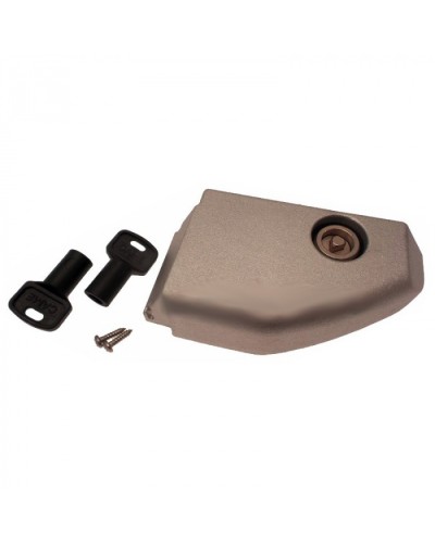 Дверца разблокировки с замком BX Came 119RIBX008 в Северске Запчасти для шлагбаумов и автоматики Pintop.ru