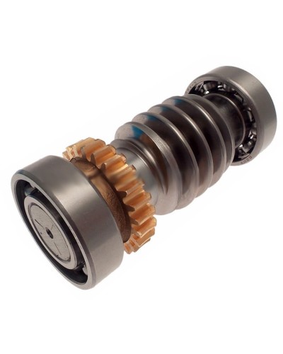 Червяк FROG Came 119RIA016 в Северске Запчасти для шлагбаумов и автоматики Pintop.ru