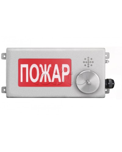 Табло светозвуковое взрывозащищенное Спектрон ТСЗВ-Exm-Н-Прометей-МИНИ 220В в Северске Оповещатели Ex Pintop.ru