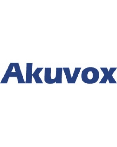 IP монитор (интерком-панель) Akuvox C313W_V2 в Северске Абонентские IP устройства Pintop.ru