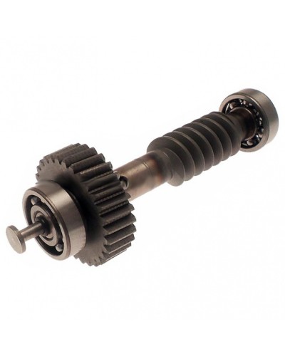 Червяк редуктора FAST в сборе Came 119RID228 в Северске Запчасти для шлагбаумов и автоматики Pintop.ru