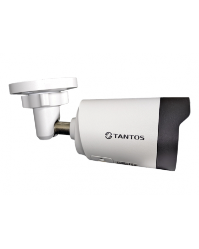IP-видеокамера в стандартном исполнении уличная Tantos TSi-Pe50FPN в Северске IP-камеры Pintop.ru