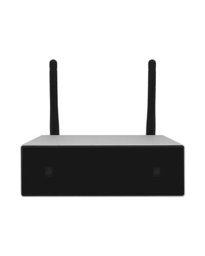 Усилитель потоковой передачи WIFI DSPPA DW-0250 в Северске Система оповещения и трансляции Dsppa Pintop.ru