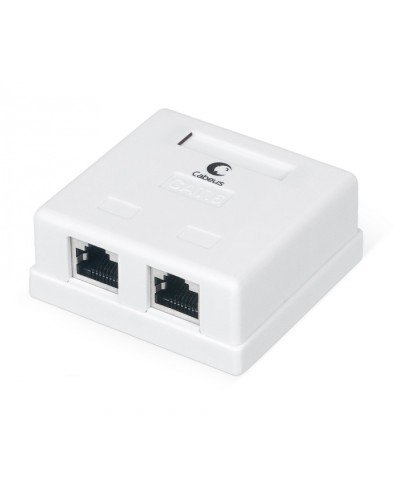 Розетка компьютерная RJ-45(8P8C), категория 6, экранированная, двойная, внешняя, Krone type Cabeus WS-8P8C-Cat.6-SH-2 в Северске Розетки компьютерные и телефонные Pintop.ru