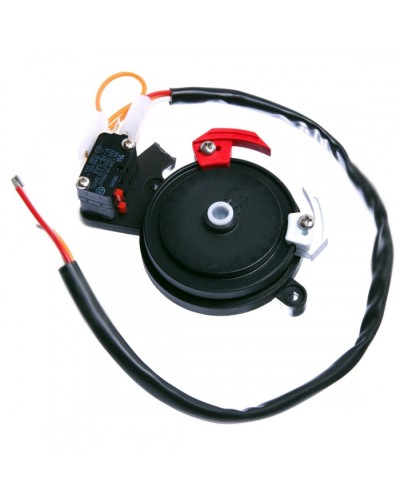 Концевые микровыключатели в сборе BX-243 Came 119RIBX041 в Северске Запчасти для шлагбаумов и автоматики Pintop.ru