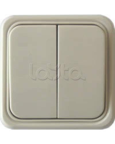 Выключатель двухклавишный открытой установки Экопласт, схема 5, (бежевый) в Северске Розетки компьютерные и телефонные Pintop.ru