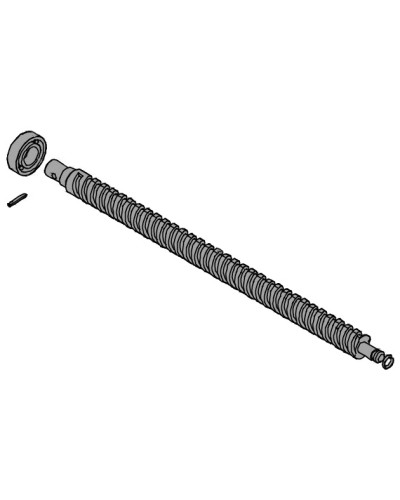 Винт ходовой AX302304, AX3024, АХ402306, AX412306 Came 119RID319 в Северске Запчасти для шлагбаумов и автоматики Pintop.ru