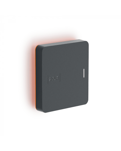 Считыватель SIGUR MR1 BLE в Северске Считыватели Pintop.ru