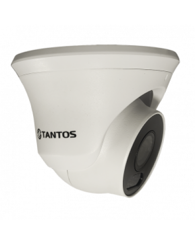 IP-видеокамера в купольном исполнении уличная Tantos TSi-Beco45FP в Северске IP-камеры Pintop.ru