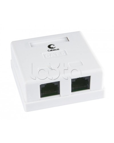 Розетка компьютерная RJ-45(8P8C), категория 6, двойная, внешняя, Krone type Cabeus WS-8P8C-Cat.6-2 в Северске Розетки компьютерные и телефонные Pintop.ru