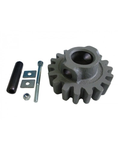 Шестерня ведущая ВК Came 119RIBK002 в Северске Запчасти для шлагбаумов и автоматики Pintop.ru