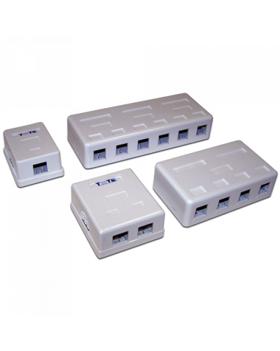 Настенная коробка 2 порта для Keystone TWT (TWT-SA2-WH) в Северске Модули Keystone Pintop.ru