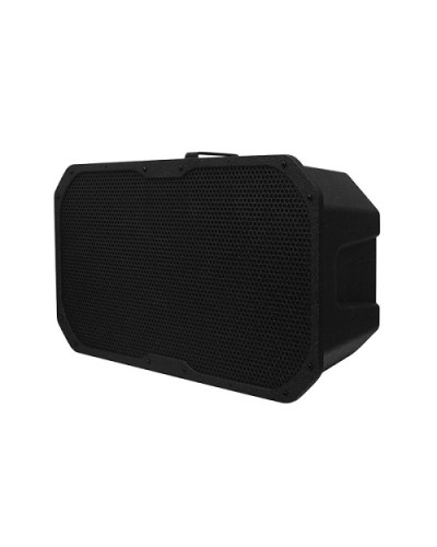 Акустическое устройство DSPPA LRAS-1830 в Северске Система оповещения и трансляции Dsppa Pintop.ru