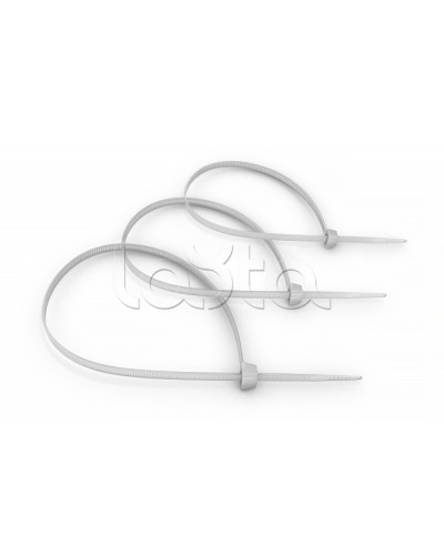 Стяжка нейлоновая неоткрывающаяся, безгалогенная (halogen free) 100x2.5мм, (100 шт) Cabeus CT-100 в Северске Аксессуары для кабель-канала Pintop.ru