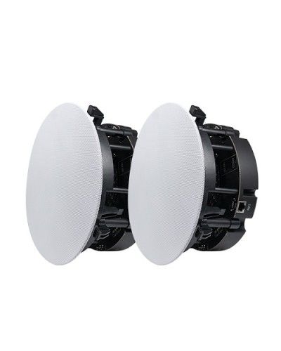 Двухполосный потолочный динамик DSPPA DW-2235 в Северске Система оповещения и трансляции Dsppa Pintop.ru