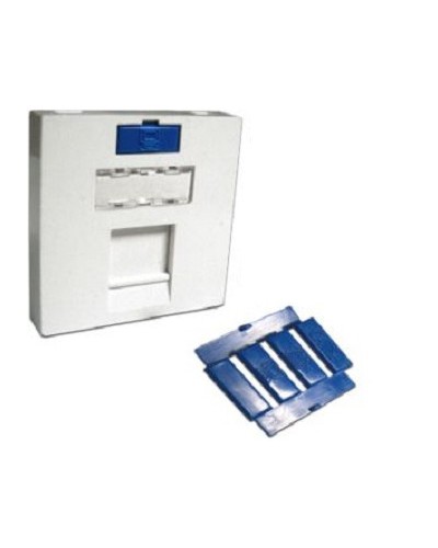 Вставка 45x45 на 1 кейстоун, угловая, со шторкой, маркировкой и иконками, белая LANMASTER LAN-SIP-23A-WH в Северске Аксессуары для кабель-канала Pintop.ru