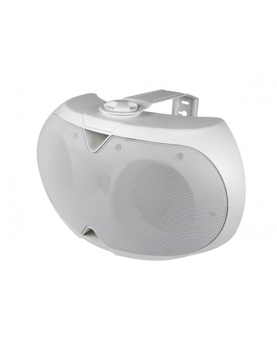 Громкоговоритель настенный 2-х полосный VOLTA ELLIPSE-2440TW в Северске Система оповещения и трансляции Volta Pintop.ru