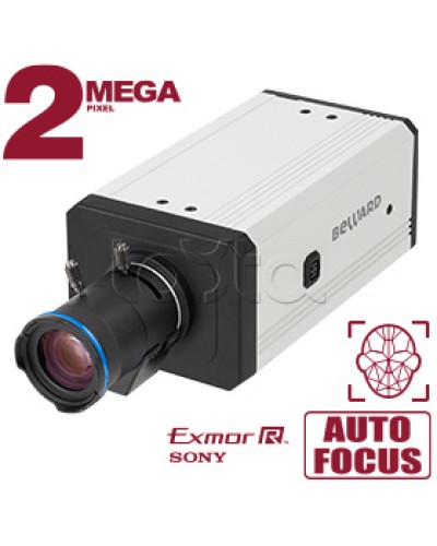 IP-камера видеонаблюдения купольная Beward SV2218M2 в Северске IP-камеры Pintop.ru