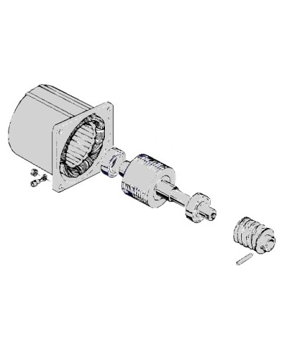 Электродвигатель С-100 Came 119RIC052 в Северске Запчасти для шлагбаумов и автоматики Pintop.ru