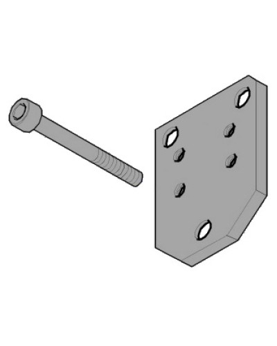 Пластина монтажная FLEX Came 119RID143 в Северске Запчасти для шлагбаумов и автоматики Pintop.ru
