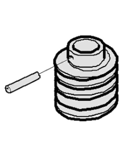 Червяк G2500 Came 119RIG094 в Северске Запчасти для шлагбаумов и автоматики Pintop.ru