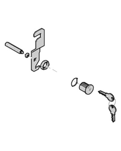 Замок дверцы G4040 G4041 Came 119RIG176 в Северске Запчасти для шлагбаумов и автоматики Pintop.ru