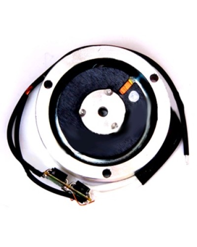 Электромагнит BY1500T Came 119RIY034 в Северске Запчасти для шлагбаумов и автоматики Pintop.ru