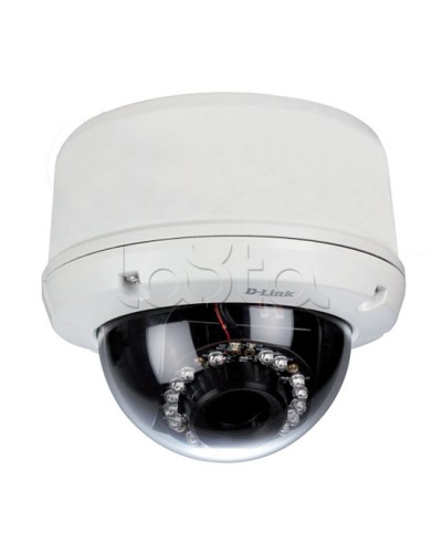 IP-камера видеонаблюдения уличная купольная D-Link DCS-6510/EP в Северске IP-камеры Pintop.ru