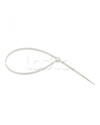 Хомут нейлоновый (3,6х250) (100шт.) EKF Basic (plc-c-3.6x250) в Северске Стяжки-хомуты Pintop.ru