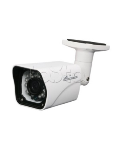 Камера видеонаблюдения в стандартном исполнении EverFocus ACE-ABB20XHD в Северске Аналоговые камеры Pintop.ru