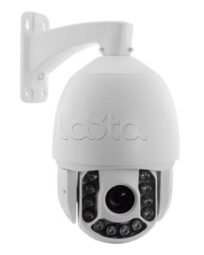 IP-камера видеонаблюдения купольная EverFocus ACE-ATE2033 в Северске IP-камеры Pintop.ru