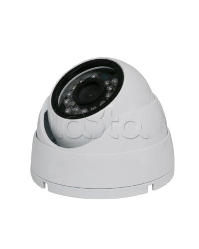 Камера видеонаблюдения купольная EverFocus ACE-IAB20XHD в Северске Аналоговые камеры Pintop.ru