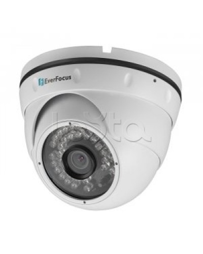 IP-камера видеонаблюдения купольная EverFocus ACE-IAV30 в Северске IP-камеры Pintop.ru